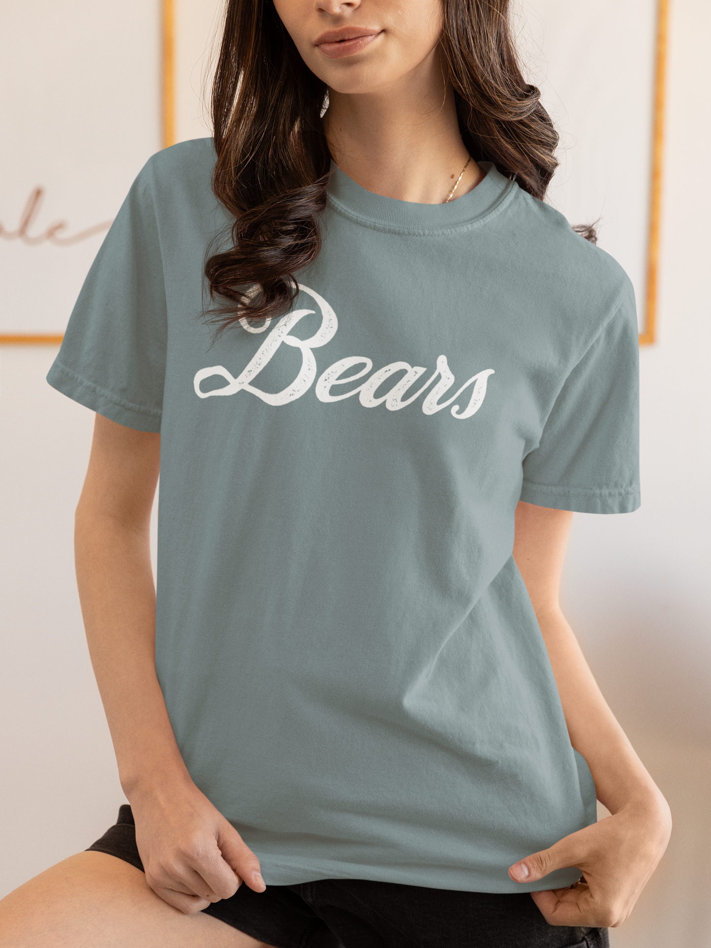 Customizable Bears Mascot Heavyweight T-Shirt