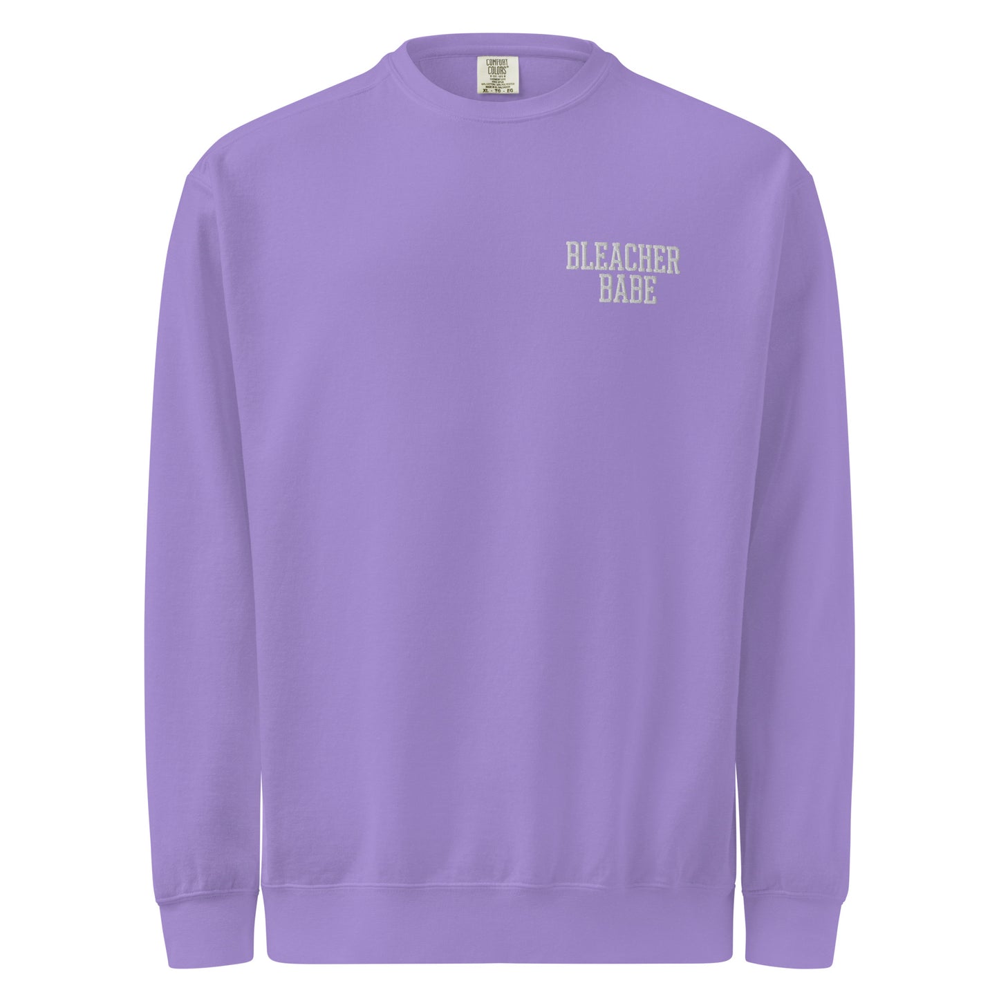 Bleacher Babe Embroidered Crewneck Sweatshirt